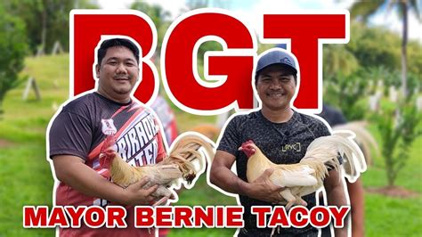 bernie tacoy mayor|BGT was live. .